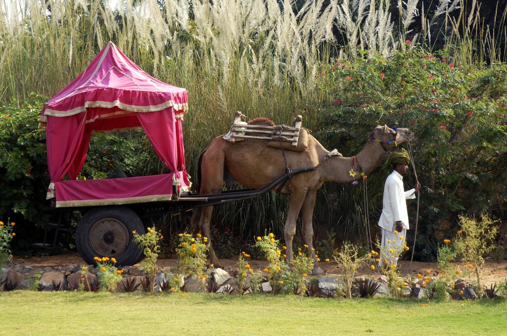 Pushkar Resort Eksteriør bilde