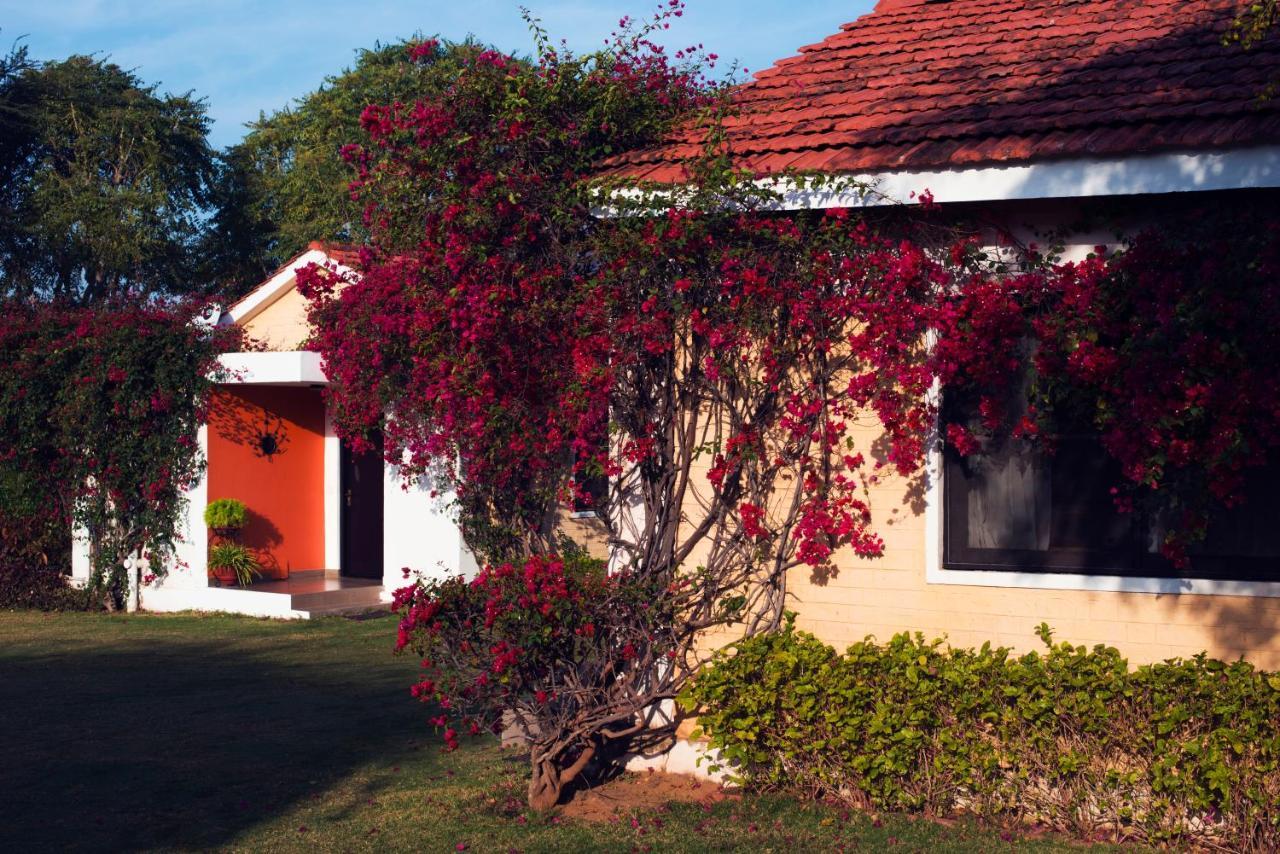Pushkar Resort Eksteriør bilde